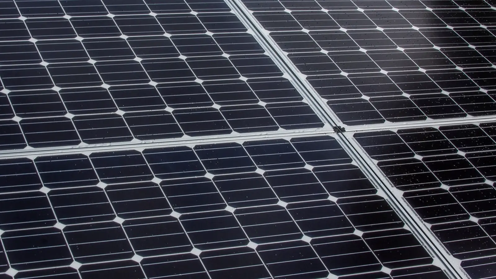 Close-up of monocrystalline solar cells and busbars in a photovoltaic module